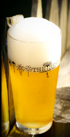 The Seed Beer Glass